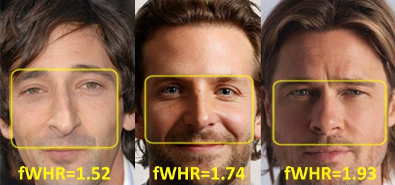 Ideal Facial Ratios And Proportions Mens Self Improvement And Aesthetics 