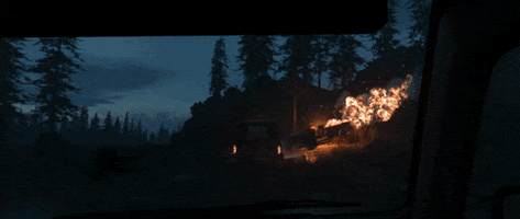 200.gif