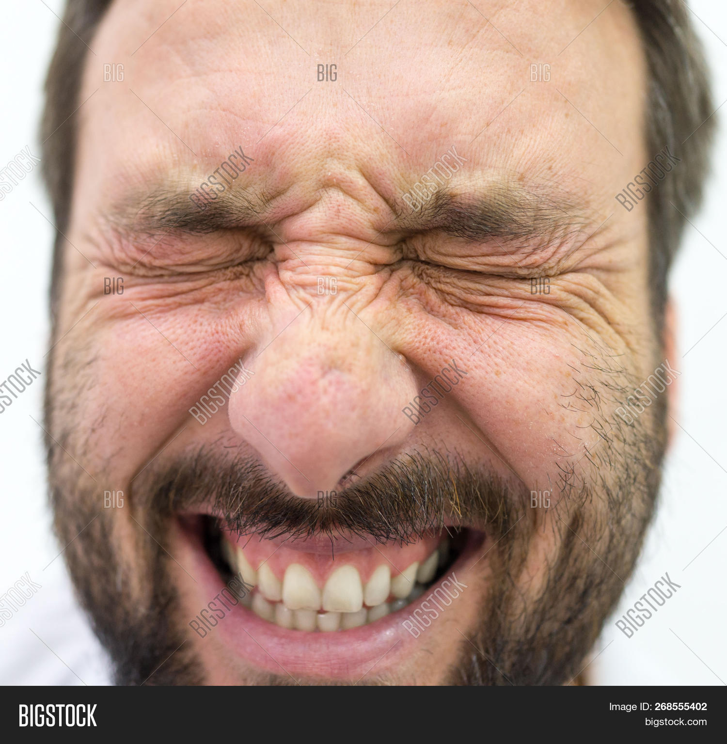 268555402.jpg