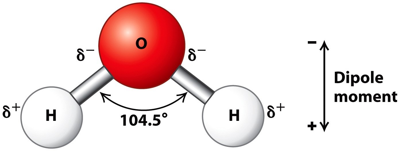 Structure-of-Water.jpg