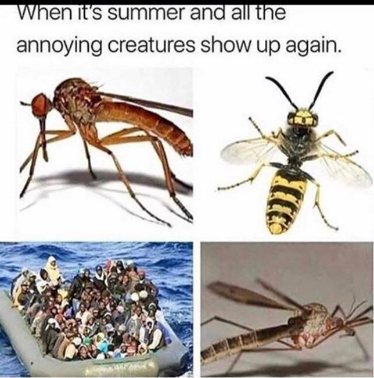 9TQo0r8.jpg