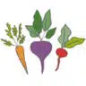 www.ruchiskitchen.com