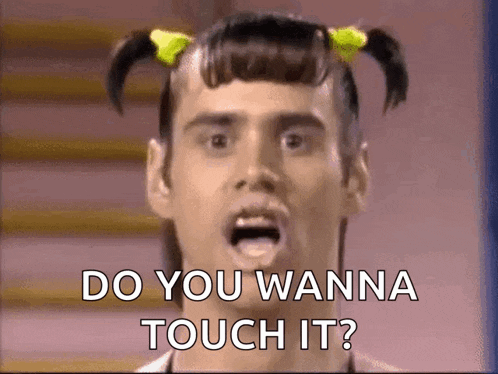 do-you-wanna-touch-it-touch-it.gif