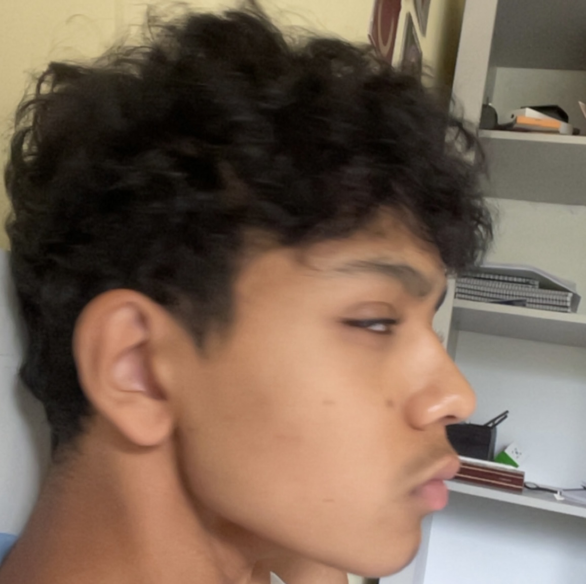 ibb.co