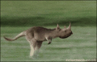 rhino GIF