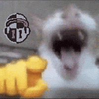Cat Laughing GIF