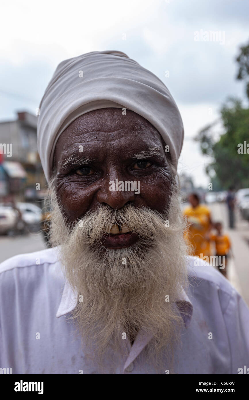 sikh-man-with-long-white-beard-in-amritsar-punjab-india-TC66RW.jpg