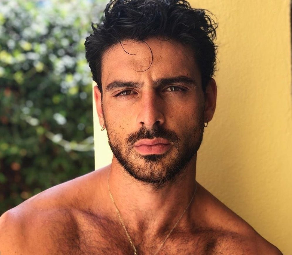 Arianne De Quintal (@arianne_quintal) / Posts / X