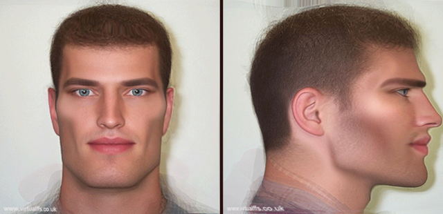blue-eyes-morph-v5.png