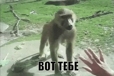 3832b192da93f954d192450b55f4b6c8.gif
