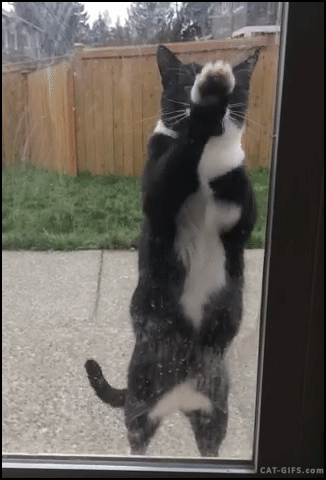 tumblr_nu61dtawBA1ucw7ggo1_400.gif