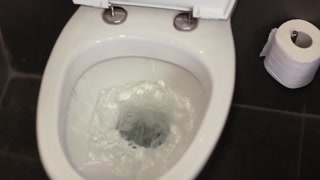 water-flows-into-the-toilet-bowl-water-stream-flows-into-the-toilet-toilet-bowl-with-running-water_hxvfry_de_thumbnail-small06.jpg