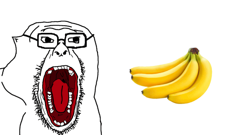 knowyourmeme.com