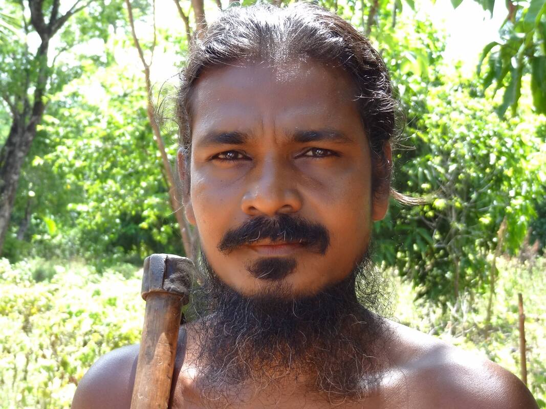 Sri Lanka Culinary Tours Blog - PETE'S TRAVELLING PANS