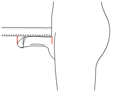 nbp-diagram.gif