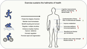 www.sciencedirect.com