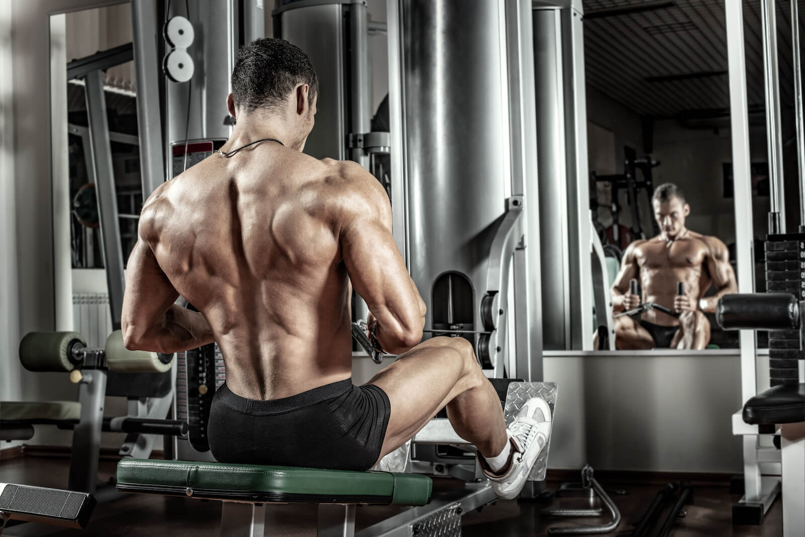 rippedbody.com