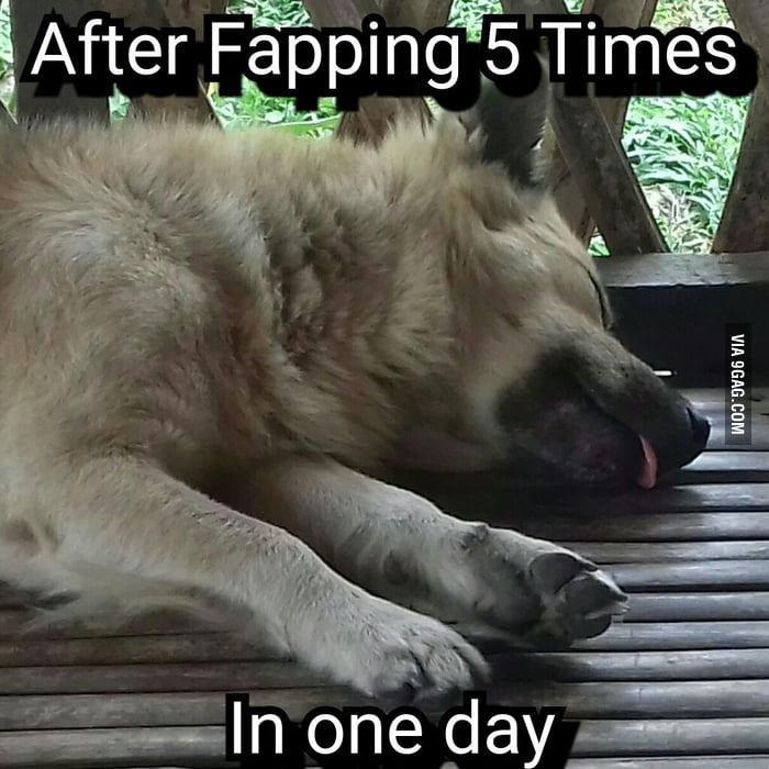 After reading post about fapping 3 times a day, I tried 5 - 9GAG