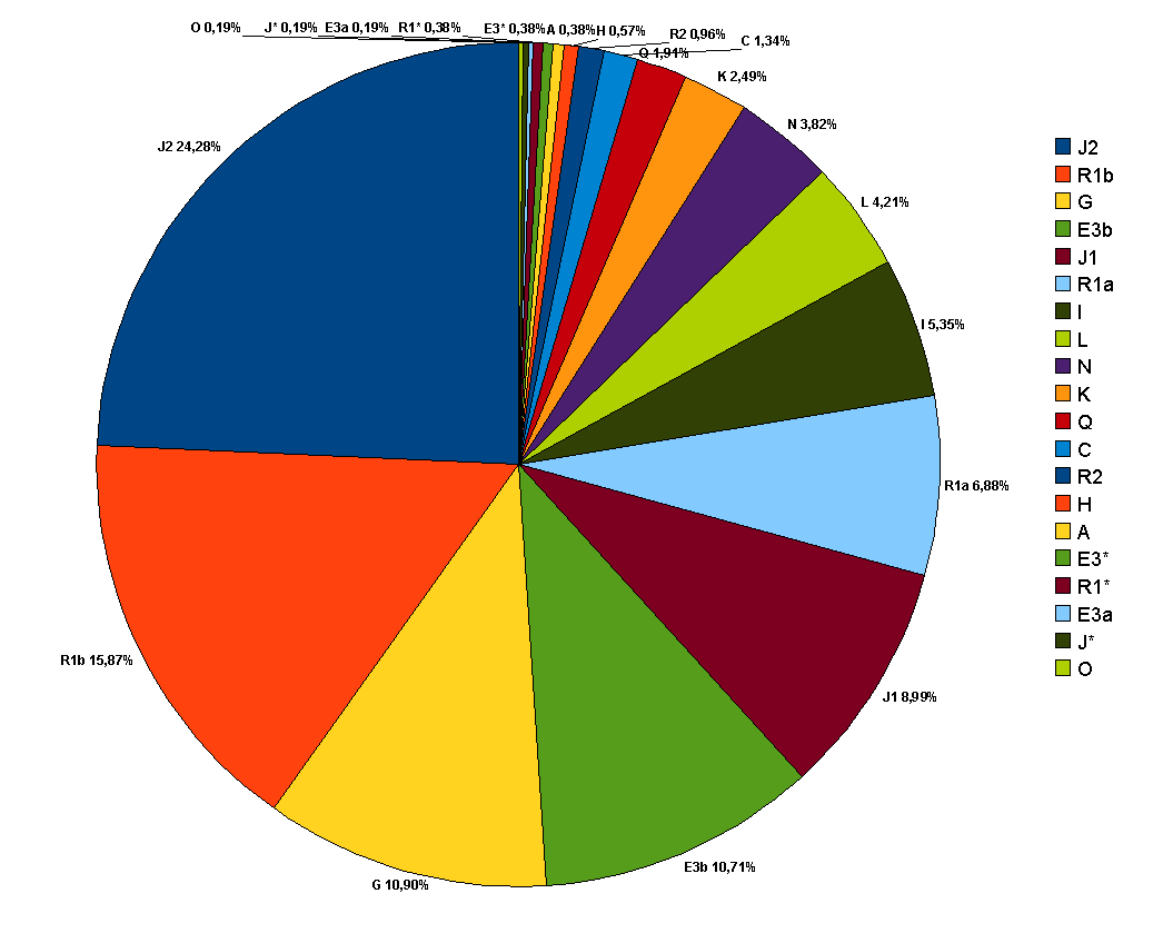 Turkey_Y_chromosome%28in_20_haplogroups%29.png