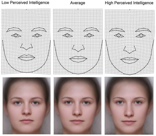 Do Smarter People Look More Intelligent? High IQ vs Low IQ Faces - PsyBlog