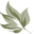 acneclinicnyc.com