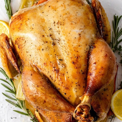 roasted-chicken-1-500x500.jpg