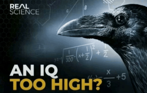an-iq-too-high.png