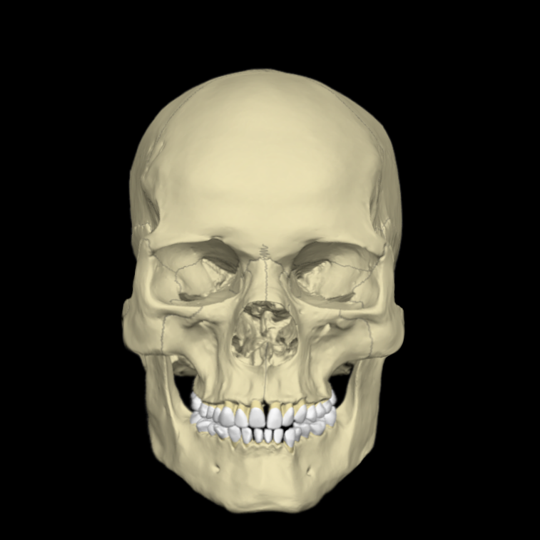 4786020_1742103751966.png