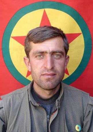 roboust-iranid_1331018.jpg