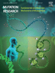 www.sciencedirect.com