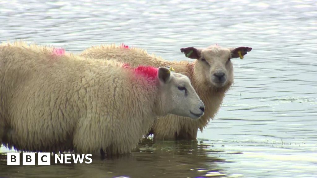 www.bbc.com