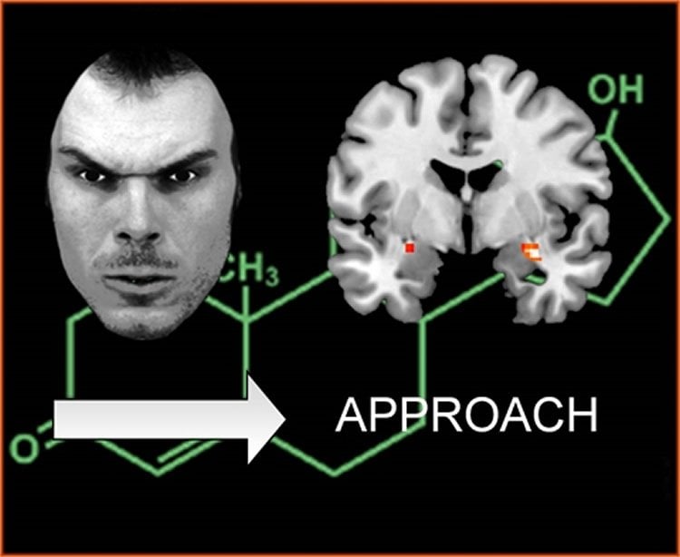 neurosciencenews.com