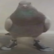 317217