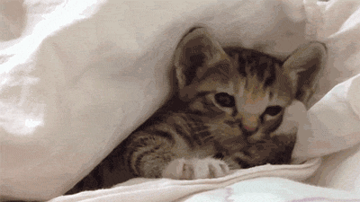 tumblr_ndjum4fctL1rxeu95o1_400.gif