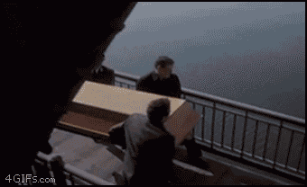 giphy.gif