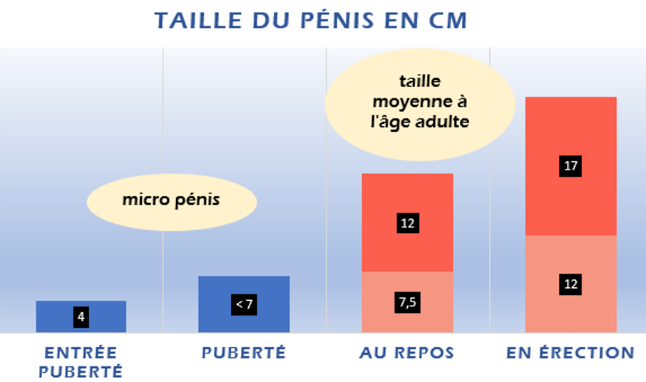 www.solution-urologie.fr