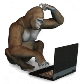 a gorilla kneeling down in front of a laptop computer