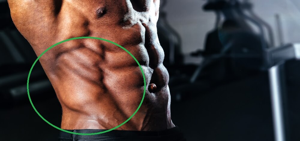 externaloblique.jpg