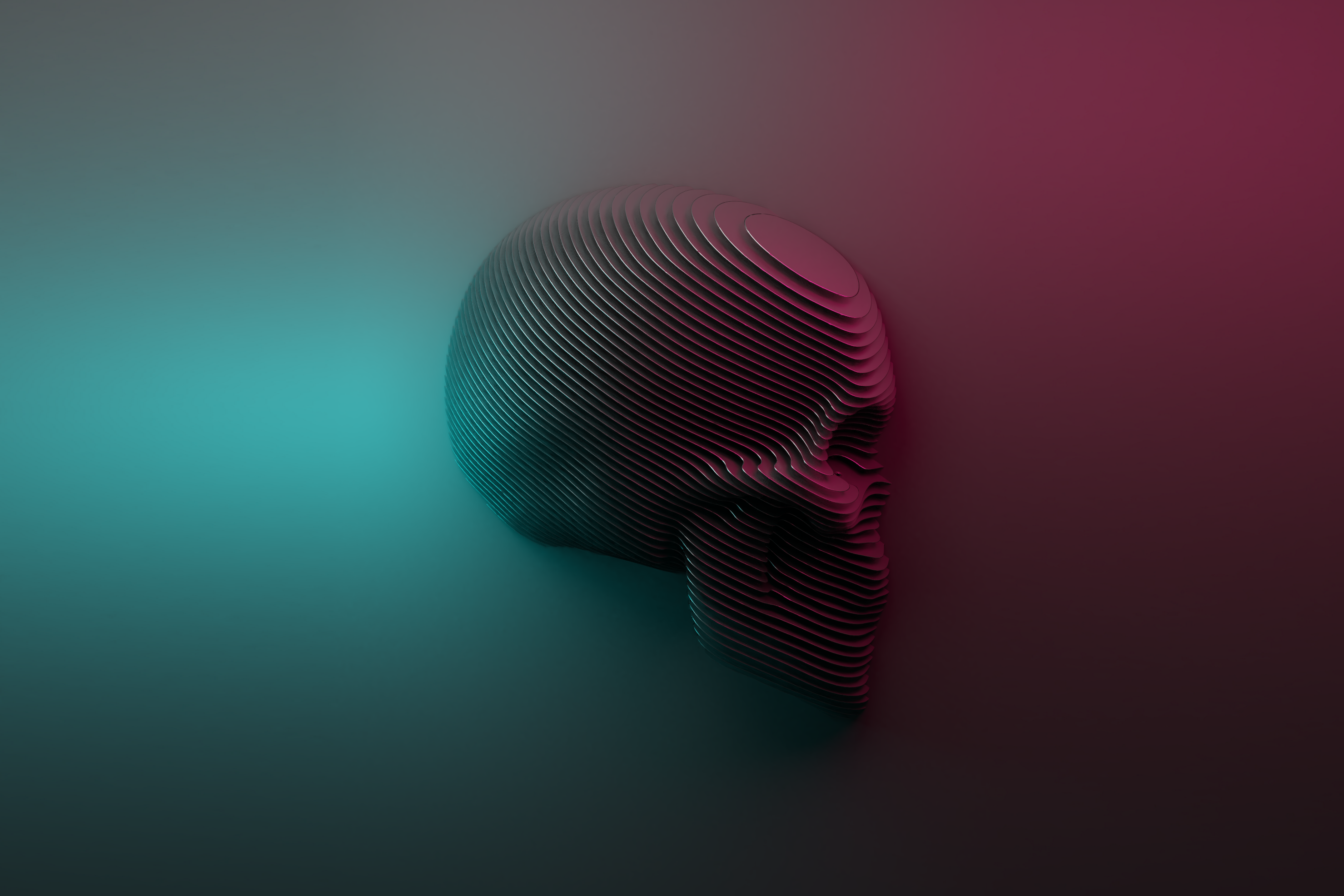 nhajicpn26c21.png