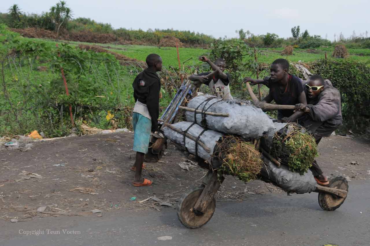 chukudu-goma-photo-02.jpg