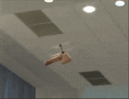 helicockter GIF