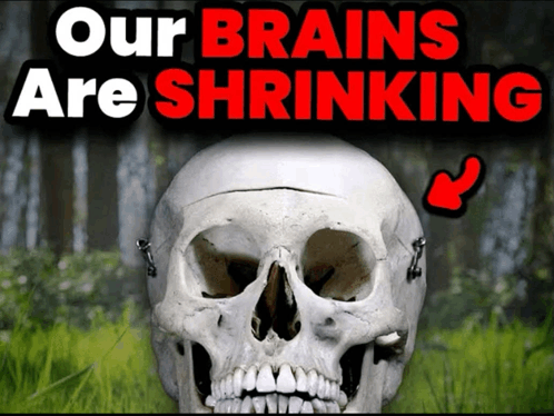 brain-shrink-our-brains-are-shrinking.png