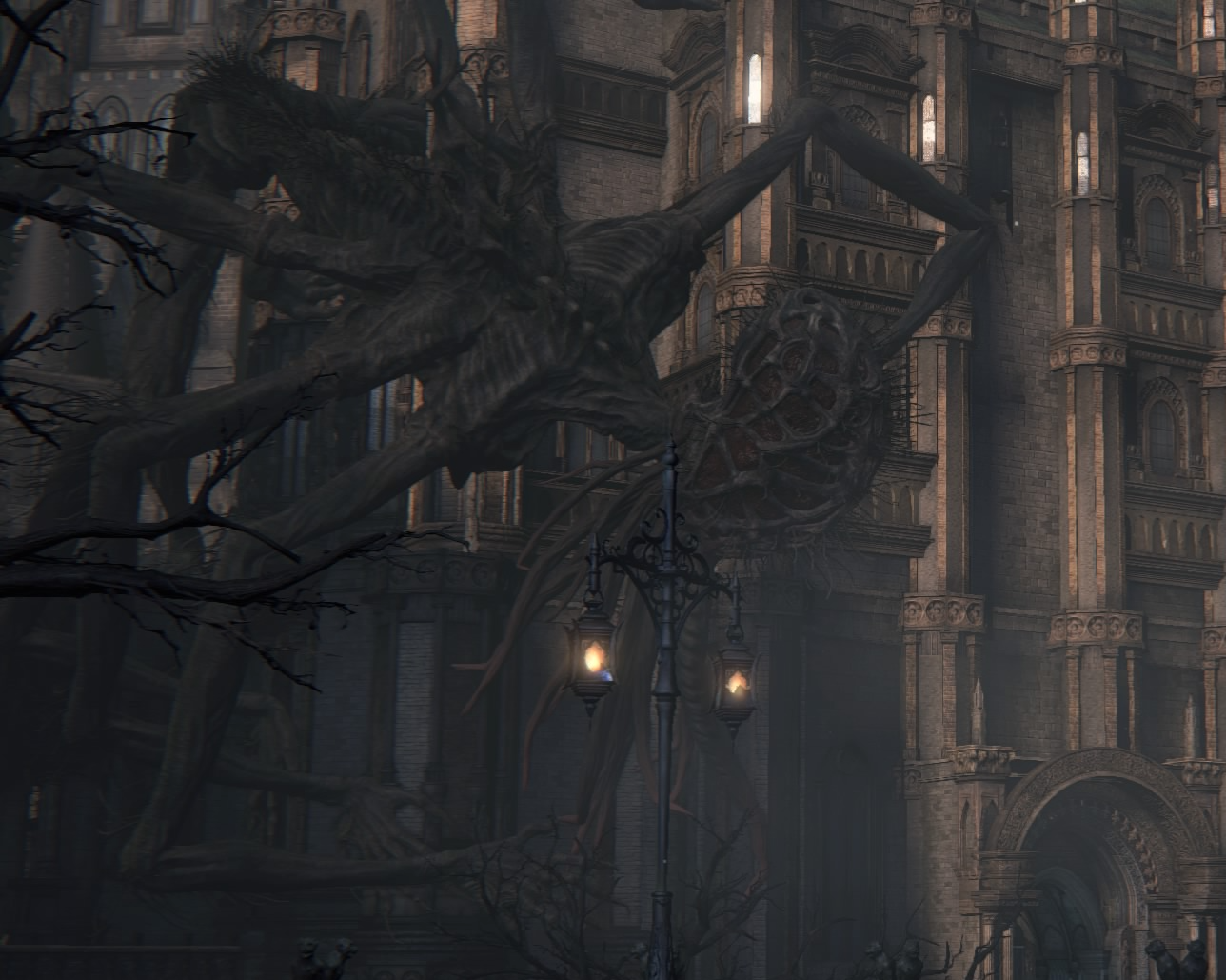 Lesser%20Amygdala%20Daylight.png
