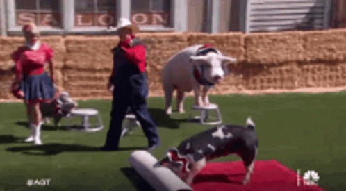 red-carpet-ball-events.gif