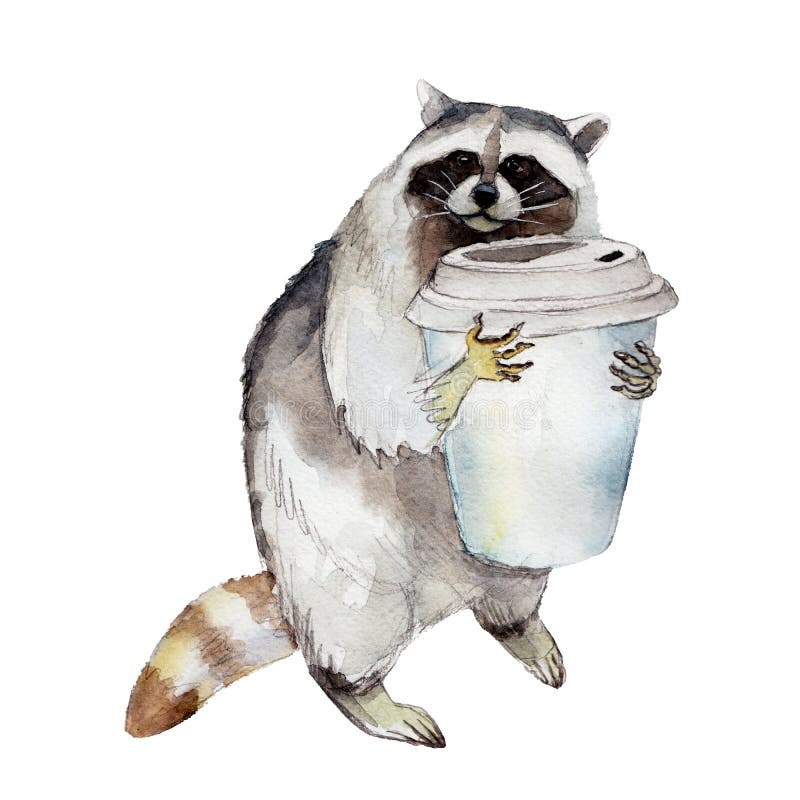 racoon-coffee-mug-animal-character-isolated-white-background-watercolor-illustration-94502542.jpg