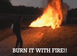 burn-the-field-kill-it-with-fire-c9t63x8zb9ikwmhi.gif