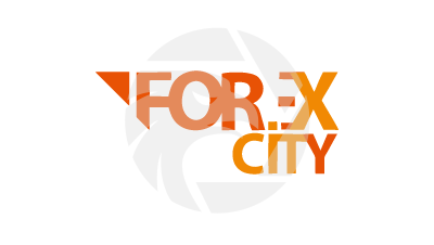 www.wikifx.com
