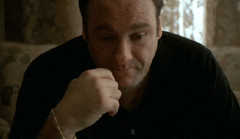 תוצאת תמונה עבור tony soprano gif