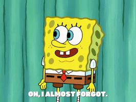 season 6 GIF by SpongeBob SquarePants