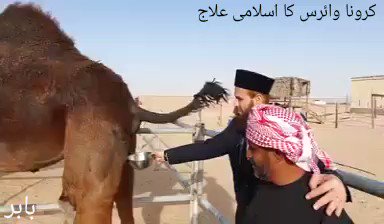 _Wez3x7NEak7CqIe.jpg